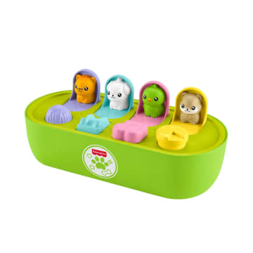 Fisher-Price Fp Pets Pop-Up-Aktivitätsspielzeug Für Feinmotorik, Entwicklungsförderndes Spiel Für Babys - Bild 5 von 6