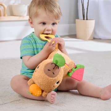 Yenidoğanlar Için Dişliği Ve Çıngırağı Olan Fisher-Price Yumuşacık Obur Kapi Duyusal Gelişime Yardımcı Pelüş Bebek Oyuncağı - Bild 2 von 6