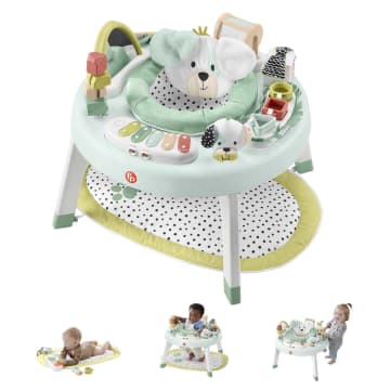 Fisher-Price 3-In-1 Snugapuppy Activity Center - Image 1 of 7