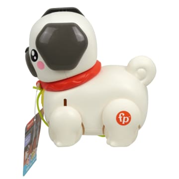 Sesli Ve Hareketli Fisher-Price Fp Pets Yürüyüş Arkadaşı Köpekçik Çekçekli Bebek Oyuncağı - Imagen 6 de 6