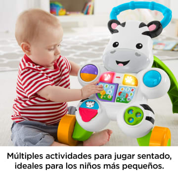 Cebra Parlanchina Primeros Pasos - Imagen 3 de 8