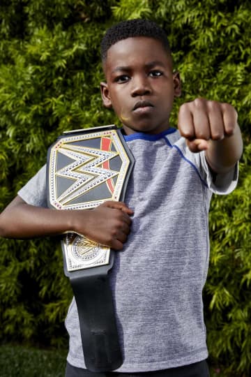 WWE Championship - Image 4 of 6