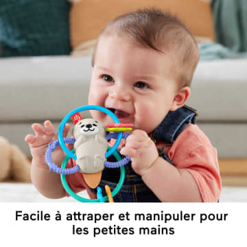 Fisher-Price - Loutre À Tordre Et Mordiller - Jouet D'Éveil - 3 Mois Et + - Imagen 5 de 8