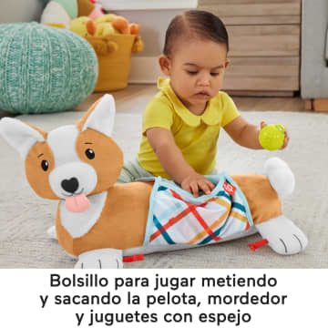 Fisher Price Cojin de cachorrito 3 en 1 HJW10 MATTEL