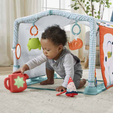 Fisher Price Gimnasio casita de campo 2 en 1 HJK45 MATTEL