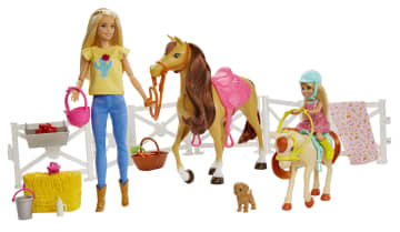 Barbie Dolls Horses And Accessories FXH15 MATTEL
