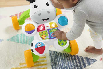 Cebra Parlanchina Primeros Pasos De Fisher-Price - Image 3 of 6