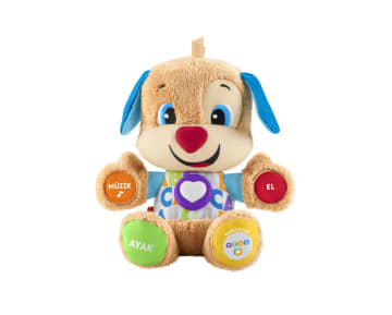 Fisher-Price® Eğlen & Öğren Eğitici Köpekçik (Türkçe) - Image 1 of 6