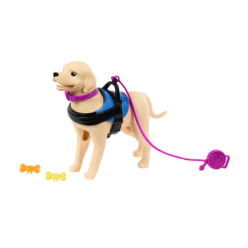 Barbie Doll & Service Dog Playset With Wheelchair, Ramp & Accessories, Brunette Fashion Doll - Imagem 5 de 5