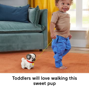 Fisher-Price Fp Pets Walk-The-Pup Pug Baby & Toddler Pull Toy With Motion & Sounds - Imagen 4 de 6