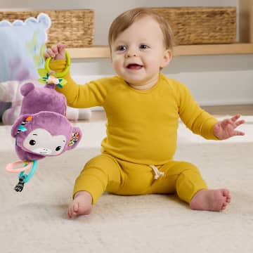 Fisher-Price Baby Brinquedo para Bebês Macaquinho Musical Companheiro - Imagem 3 de 6