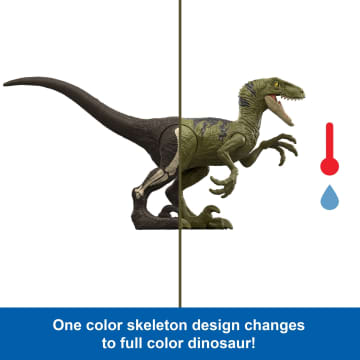 Jurassic World Dino Reveal Dinosaur Toys, Warm Water Uncovers Full Decoration, Unpack & Color Change - Imagen 3 de 6