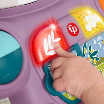 Trotteur D'éveil Musical Fisher-Price Singe Violet - Avec Lumières, Activités Et Musique, Pour Bébés De 6 Mois Et Plus, JGW90 - 7