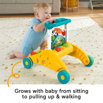 Fisher-Price 2-Sided Steady Speed Tiger Walker Electronic Learning Toy For Infant & Toddler - Image 3 of 6