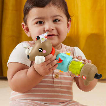 Fisher-Price Brinquedo para Bebês Cachorrinho Dachshund Atividades Divertidas - Imagen 2 de 6