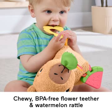 Fisher-Price Snuggly Snacky Capybara Plush Baby Sensory Toy With Teether & Rattle For Newborns - Imagem 4 de 6
