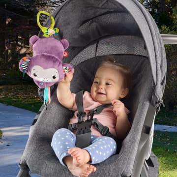 Fisher-Price Baby Brinquedo para Bebês Macaquinho Musical Companheiro - Imagem 2 de 6