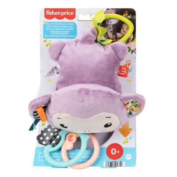 Fisher-Price Baby Brinquedo para Bebês Macaquinho Musical Companheiro - Imagem 6 de 6