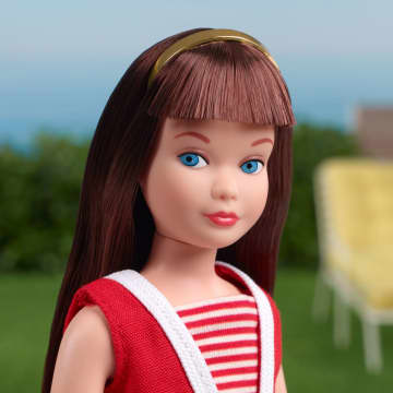 Barbie Signature Boneca de Coleção Skipper 60th - Image 2 of 6