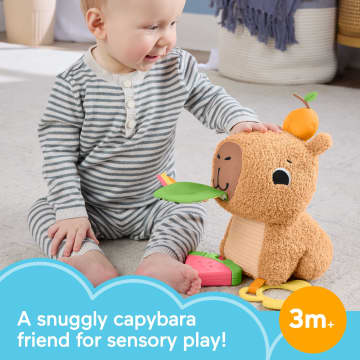 Fisher-Price Snuggly Snacky Capybara Plush Baby Sensory Toy With Teether & Rattle For Newborns - Imagem 2 de 6