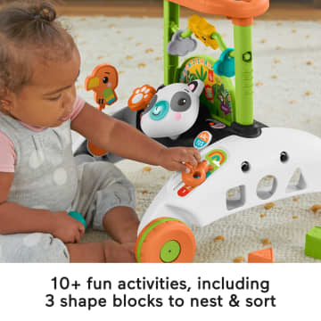 Fisher-Price 2-Sided Steady Speed Panda Walker - Image 4 of 6