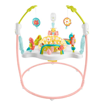 Fisher Price Baby Bouncer Blooming Fun Jumperoo Activity Center With Music Lights