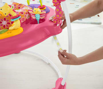 Fisher Price Pink Petals Jumperoo Mattel