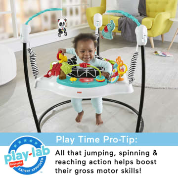 Fisher Price Baby Bouncer Animal Wonders Jumperoo Activity Center With Music And Lights