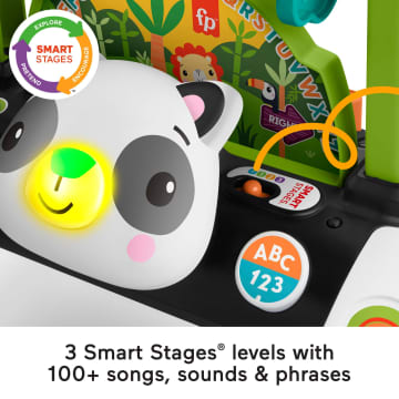 Fisher-Price 2-Sided Steady Speed Panda Walker - Image 5 of 6