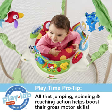 Fisher price jungle jumperoo age best sale