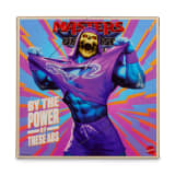Masters of the Universe Gym Bro Skeletor Action Figure