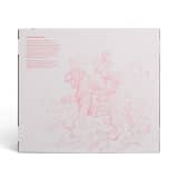 James Jean Coral Skeletor and Panthor