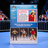 WWE Coliseum Collection Hulk Hogan & Terry Funk Ultimate Edition Figures