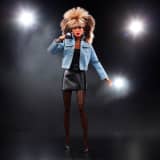 Barbie Signature Music Series Tina Turner Doll