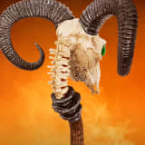Life-Size Masters of the Universe Chronicles Havoc Staff