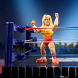 WWE Retro Action Figure 4-Pack Bundle