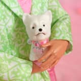 “Sugar’s Daddy” Ken Doll in Pastel Suit With Dog – Barbie The Movie