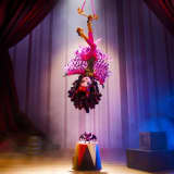 Monster High Freak Du Chic Draculaura Figure