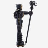 Shogun Warriors Skeletor Golden Havoc Edition