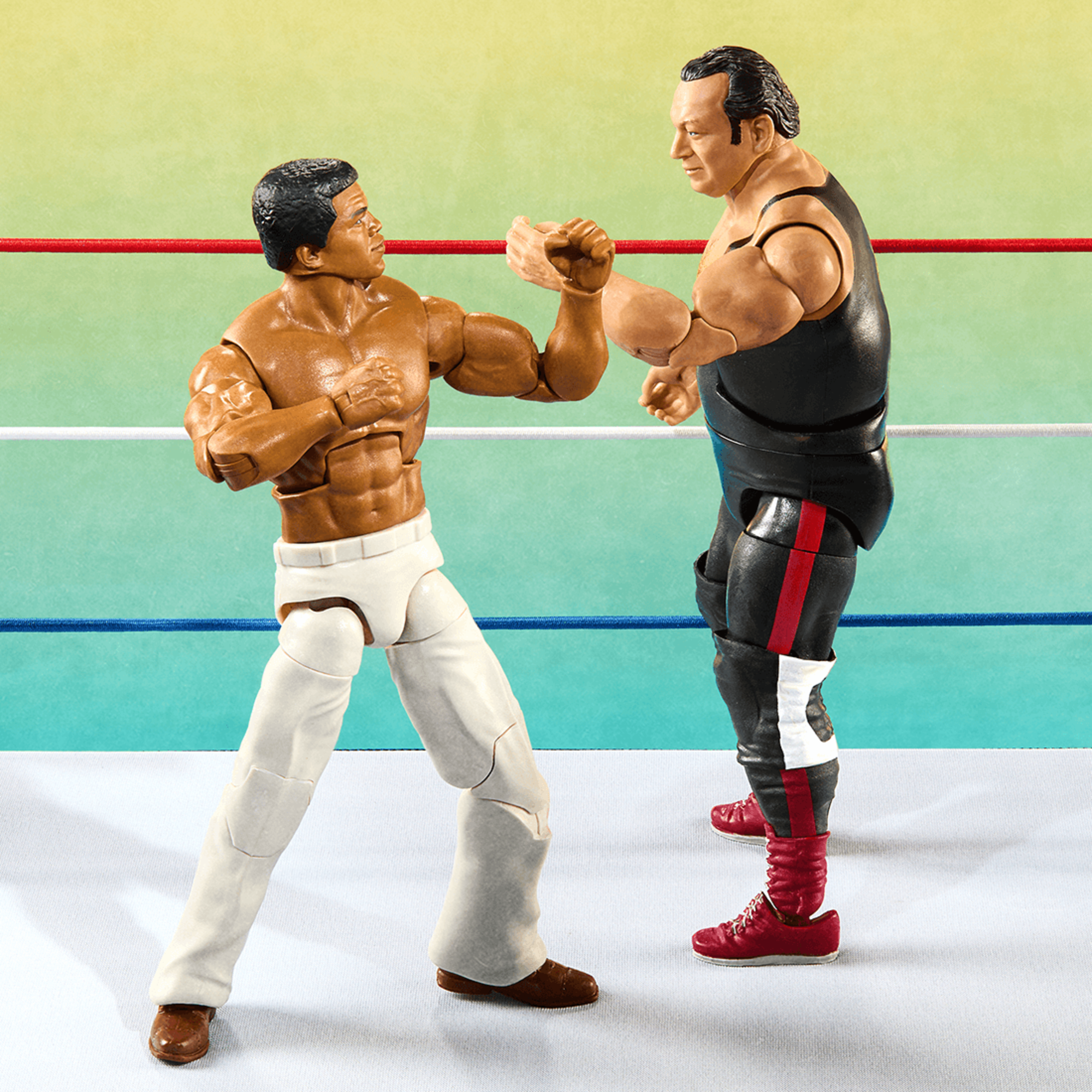 WWE Elite Collection Legends From the Territory Era 4-Figure Multipack