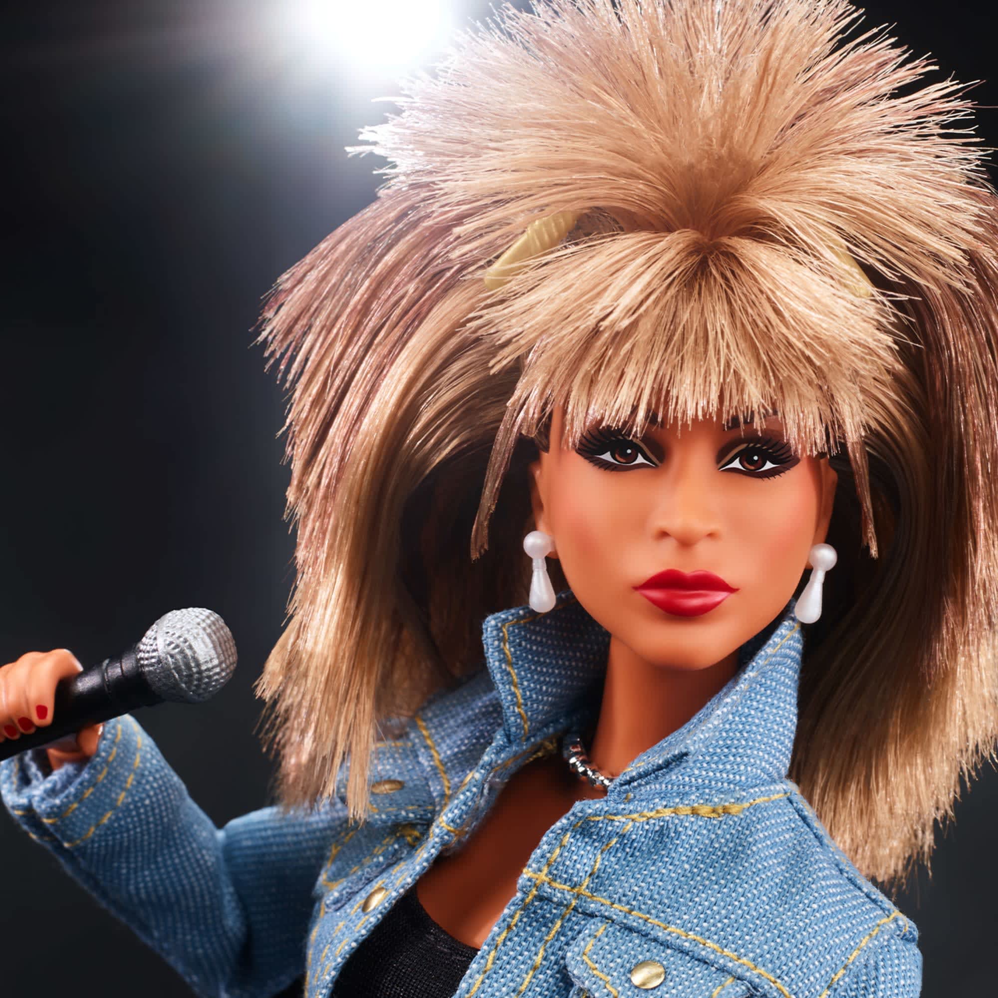 Barbie Signature Music Series Tina Turner Doll
