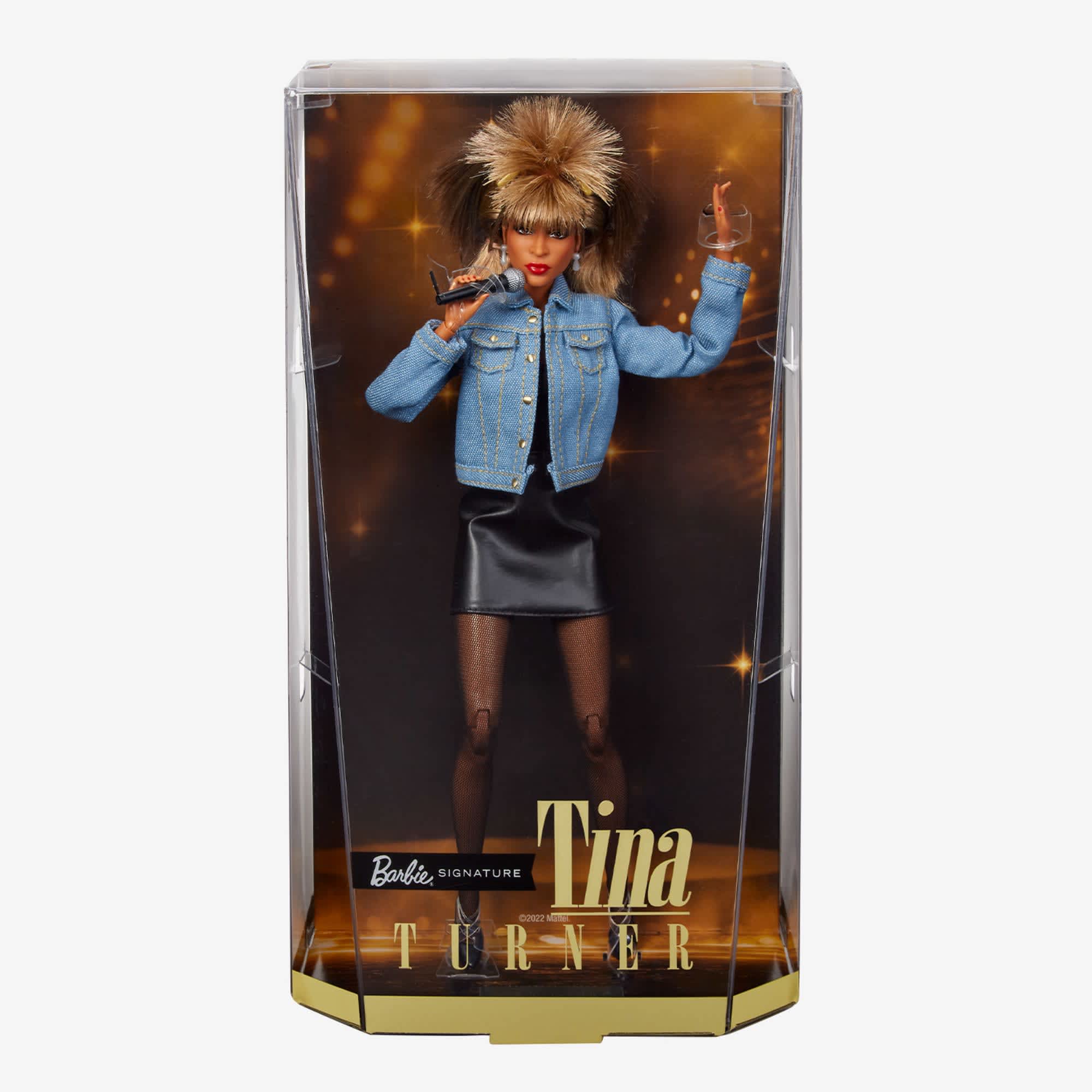 Barbie Signature Music Series Tina Turner Doll