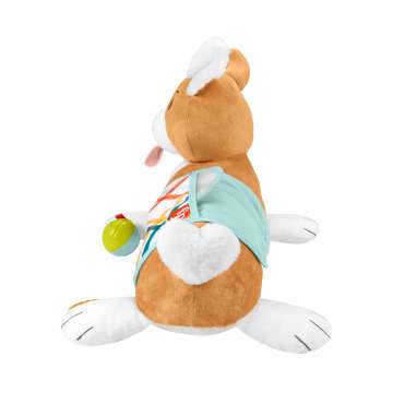 Fisher-Price 3-In-1 Puppy Buikligtrainer