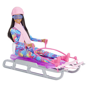 Barbie Wintersport, pop met slee en accessoires