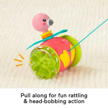 Fisher-Price Paradise Pals Pull-Along Flamingo