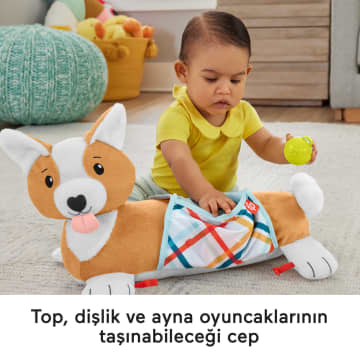 Fisher-Price 3'Ü 1 Arada Köpekçik Uzanma Yastığı