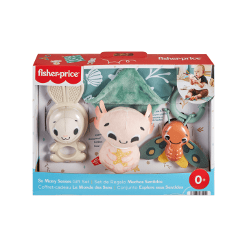 Fisher-Price Sensorische Erlebnisse Geschenkset