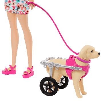 Barbie Pop Met Speelgoedpuppy En -Hond In Een Rolstoel, En Dierenaccessoires - Imagen 2 de 5