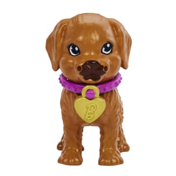 Barbie Doll and Accessories Pup Adoption Playset with Doll, 2 Puppies and Color-Change - Image 4 of 7