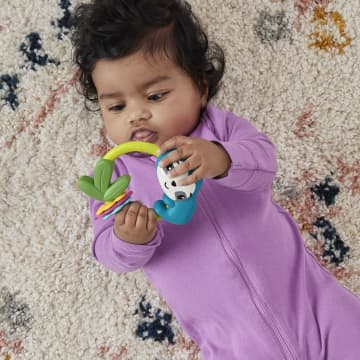 Fisher-Price collectie babyspeelgoed met dierenthema, rammelaar, bijtring en klik-klakspeeltje voor pasgeborenen - Imagen 3 de 6
